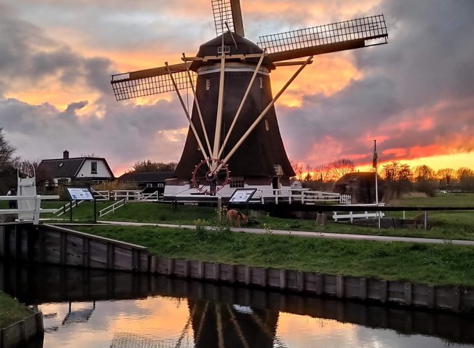 Afbeelding bij Rondje Oud-Zuilen